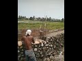 Yang NK Ngeris Tanah Pakai Batu Bujang Hubungi Kami Yung Siap Meluncur Yang NK Ngeris Tanah Pakai Batu Bujang Hubungi Kami Yung Siap Meluncur