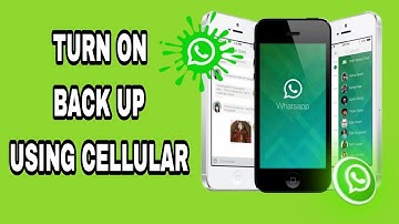 How To Turn On Back Up Using Cellular On WhatsApp App