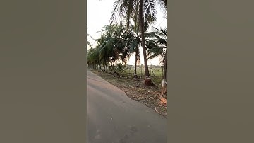 MY FIRST VLOG ❤ || MY FIRST VIDEO ON YOUTUBE  || sai sagar #shorts