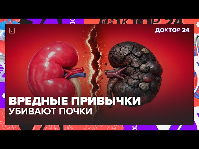 Как сохранить здоровье почек: симптомы, анализы, продукты и вредные привычки | Доктор 24