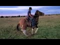 Horse Update | Navajo Reservation Horses | Hauling Hay for the Horses