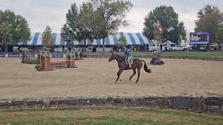 Adeline BHF zone finals