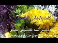 قصيدة غزل بعنوان الله يسامح كلمات هاني الشعوري قصيدة غزل بعنوان الله يسامح كلمات هاني الشعوري