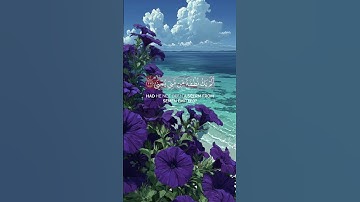 القرآن الكريم راحة نفسية ♥️