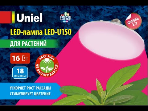 Vídeo: Llum De Planta LED Uniel: Característiques De Fitolamp 9W E27 250 Lm Llum Vermella I 10W, Ressenyes De Làmpades