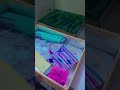 packing order pack🤳