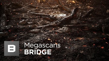 Megascans & UE4 - Live Link