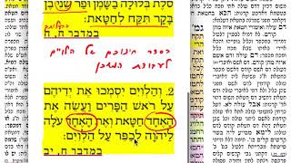 דף יומי- זבחים פט 89 רביעי כ״ח תמוז תשע״ח
