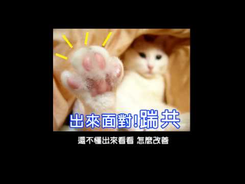 2011-11-11搶票跟五月天上船記...網路搶票年代之--出煙!!