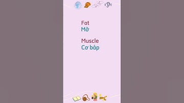 Học 3 từ mới Anh-Việt mỗi ngày/Chủ đề: Các bộ phận trên Cơ thể - Body Parts/30