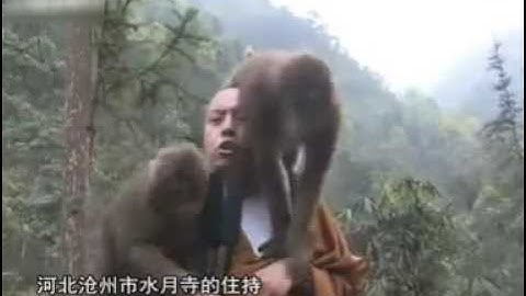 Mandarin VS Wu language中國方言..河北滄州話 PK 吳侬軟語 Chinese dialects comparison