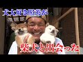 照英が柴犬のかわいい赤ちゃんに出会ったら感動!幸せ!最高!コロッコロのモフモフ