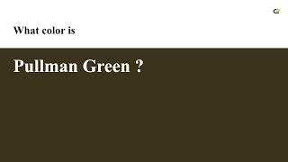 Pullman Green color #3b331c hex color - Brown color - Cool color 3b331c