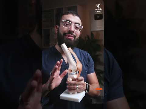 العلاج الطبيعي للغضروف الهلالي