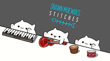 Shawn Moewdes - Stitches 🎧