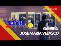 Galería José María Velasco