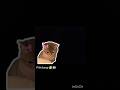 mere to L lg gye 🤕 #love_whatsapp_status #arcade_5n #likeandsubscribe