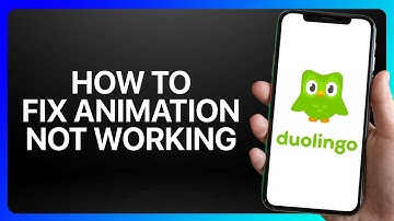 How To Fix Duolingo Animation Not Working Tutorial