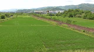 【鉄道走行動画】JR土讃線 土佐大津→後免 特急「南風16号」 3輌(2700系)