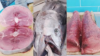 Stubborn tuna fish prices in Algeria / fish market. Port of Zemmouri Black Rock Fish