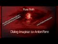 Pusa Roth - Dialog imaginar cu Anton Pann (2015)