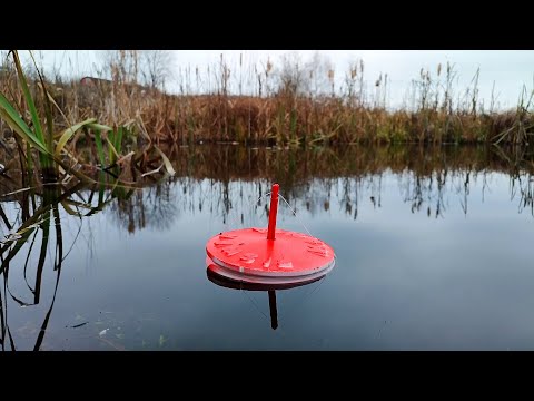 ЛОВЛЯ ЩУКИ НА КРУЖКИ В ДРЕМУЧИХ ЛЕСАХ