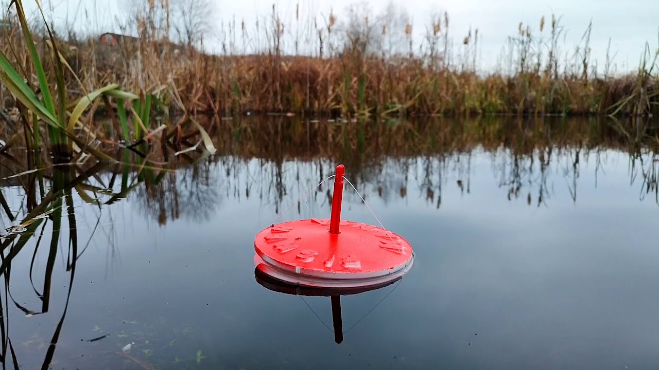 ЛОВЛЯ ЩУКИ НА КРУЖКИ В ДРЕМУЧИХ ЛЕСАХ