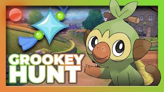 Hunting Grookey | Shiny Hunting | Pokémon Sword and Shield