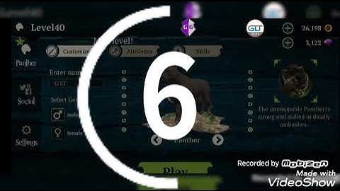 Panther Online // speed skills & the effect of skills 🐾🐾