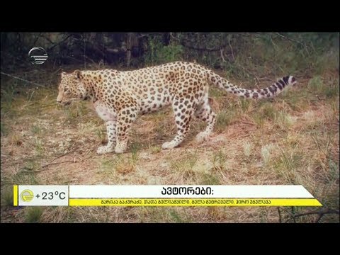 ვაშლოვანის დაცული ტერიტორია