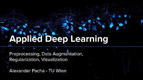 Applied Deep Learning 2024 - Lecture 9 - Preprocessing, Augmentation, Regularization, Visualization