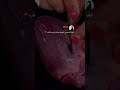 كيف شخصي المفضل يعامل قلبي هالفتره