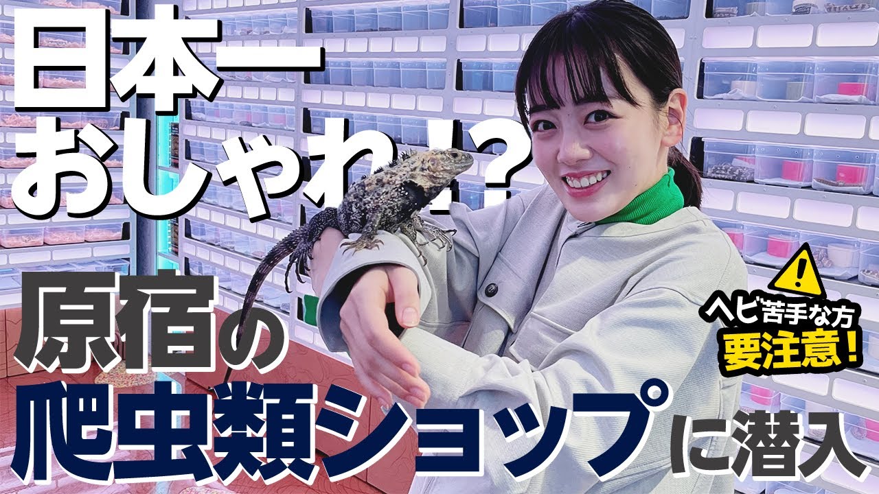 【原宿】超おしゃれ！この爬虫類ショップやばすぎる...【伊原六花】