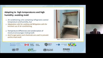 Session 11: Building Resilient and Low Carbon Health Systems: Synergies and Challenges (EN)