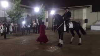 Novia bailando sevillanas con un caballo.