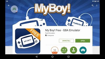 Pokemon Ruby - Game Boy Advance Emulator and First Steps