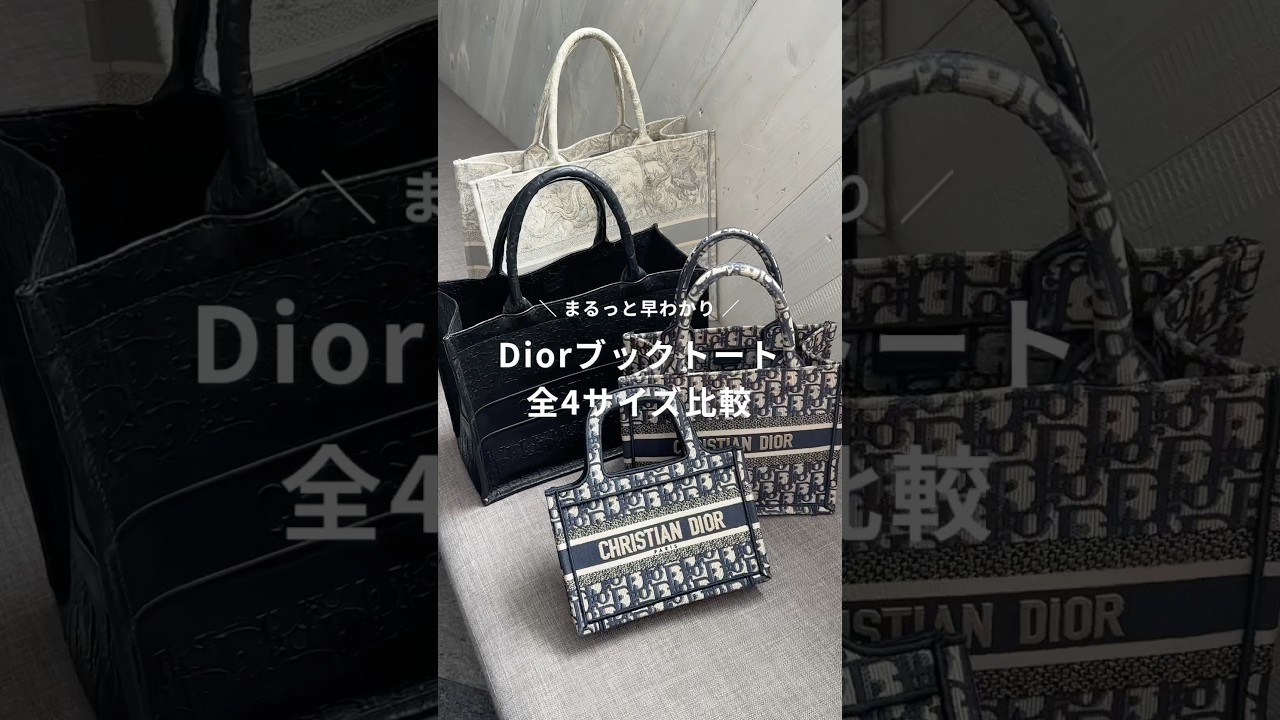 Comparison] Introducing all 4 sizes of Dior book tote 📖´- #shorts