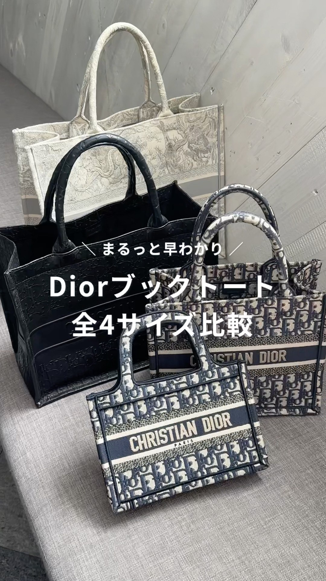 Comparison] Introducing all 4 sizes of Dior book tote 📖´- #shorts