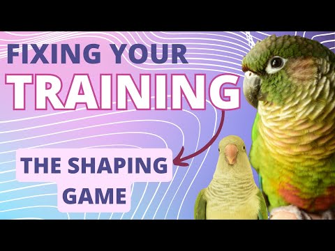 Fix Your Training