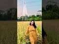 Paddy fields with my motivation  antaraanjum youtube paddylover viral  bangladesh