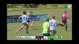 will wright highlights
