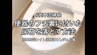 【トイレ掃除】便器のフチ裏に付いた尿石を落とす方法 茂木和哉トイレ尿石落としジェル編【茂木流掃除】