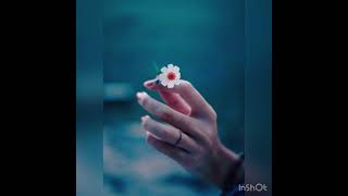 Samir Hacıyev - Çiçək Nəbi Xəzri