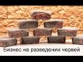 Бизнес на разведении червей. Разведение на даче или в  частном доме