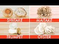 Trying Every Type Of Mushroom | The Big Guide | Epicurious