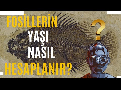 Video: Karbon 14 tarihleme ne için kullanılır?