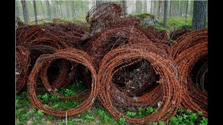 Safest way to remove barbed wire