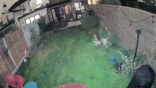 EufyCam S3 Pro night sample spotlights