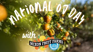 National Orange Juice Day 2022 by UF IFAS Extension Manatee County 57 views 1 year ago 39 seconds
