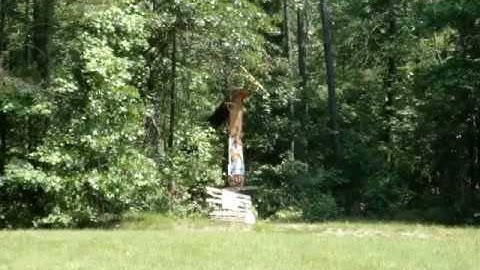 Exploding Target #1 (Dip Can).wmv